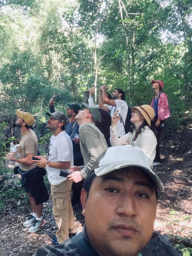 From Bacalar: Calakmul Ruins Expedition & Jungle Trek - Jungle trek tactics: how a short walk can improve your odds