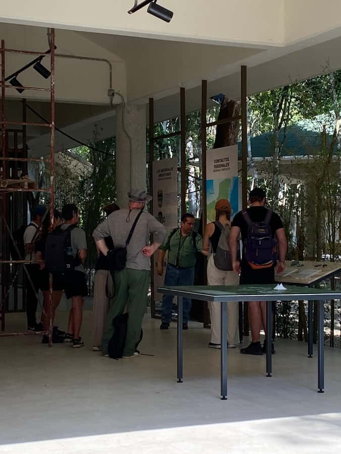 From Bacalar: Calakmul Ruins Expedition & Jungle Trek - Tickets and total cost: budgeting beyond the $163 price