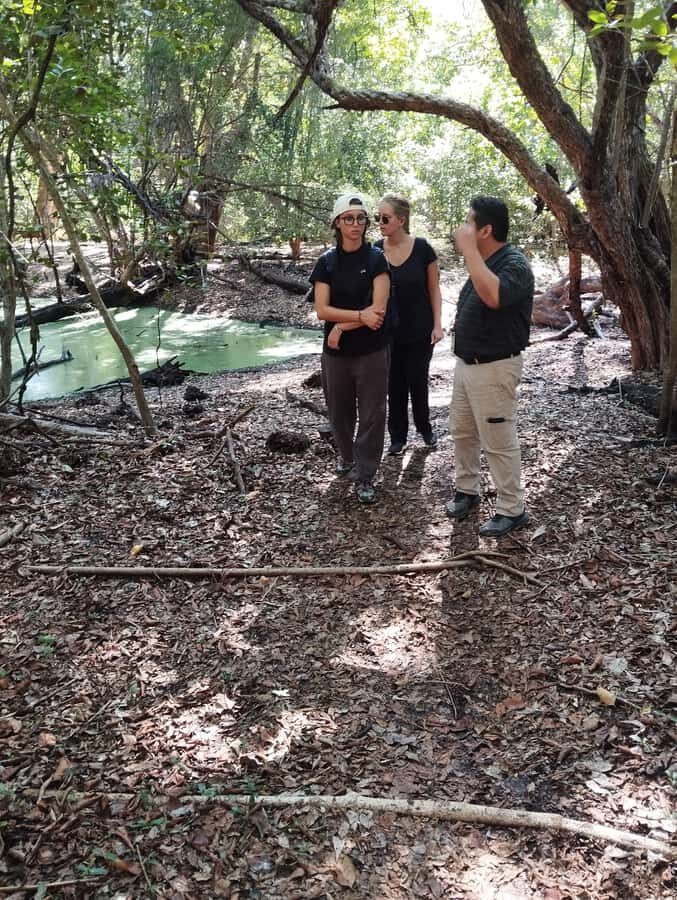 From Bacalar: Calakmul Ruins Expedition & Jungle Trek - Who should book—and who should skip this day