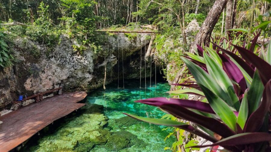 From Cancun: Day Trip to Tulum, Cenote & Playa del Carmen - Who This Tour Fits Best (and Who Should Skip It)