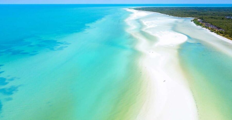 From Cancun or Puerto Morelos: Holbox Boat Tour with Lunch - Key things to know before you go