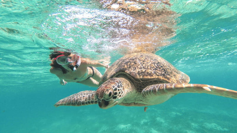 From Cancun: Tulum and Akumal Cenote and Turtle Swim Tour - What This Tour Feels Like on the Ground: Pacing, Crowds, and Comfort