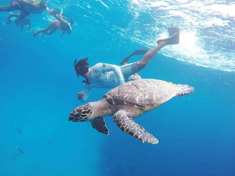 From Cozumel: 3 Reefs Boat Tour with Drinks and Snorkeling - Palancar Reef stop: the deeper-water odds game