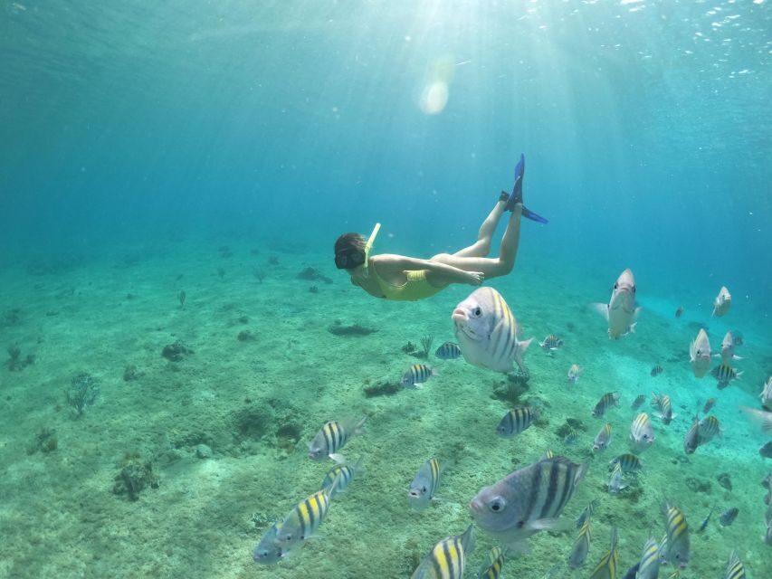 From Cozumel: 3 Reefs Boat Tour with Drinks and Snorkeling - Columbia Reef: where starfish, fish, and big surprises happen