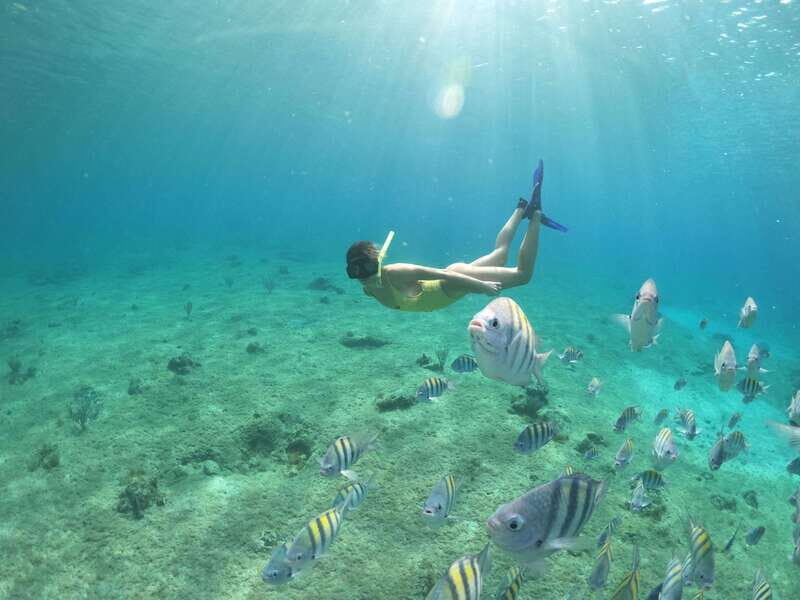 From Cozumel: 3 Reefs Boat Tour with Drinks and Snorkeling - Safety, gear, and how the guides help you actually see things
