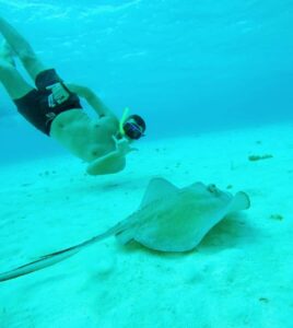 From Cozumel: Starfish, Stingrays and the Turtle Sanctuary - Marina Asipona meeting point and the short transfer