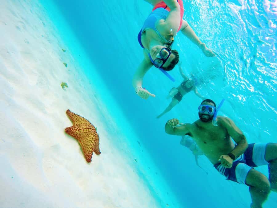From Cozumel: Starfish, Stingrays and the Turtle Sanctuary - Playa Palancar: the first stop and what to watch for
