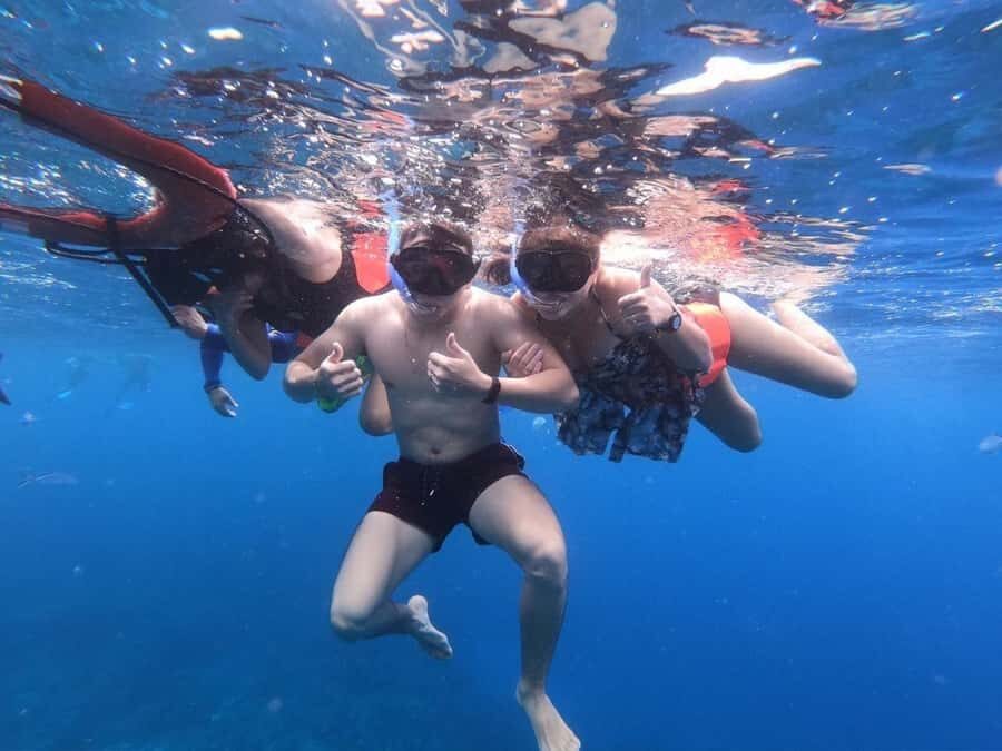 From Cozumel: Starfish, Stingrays and the Turtle Sanctuary - Who should book this Cozumel snorkeling tour