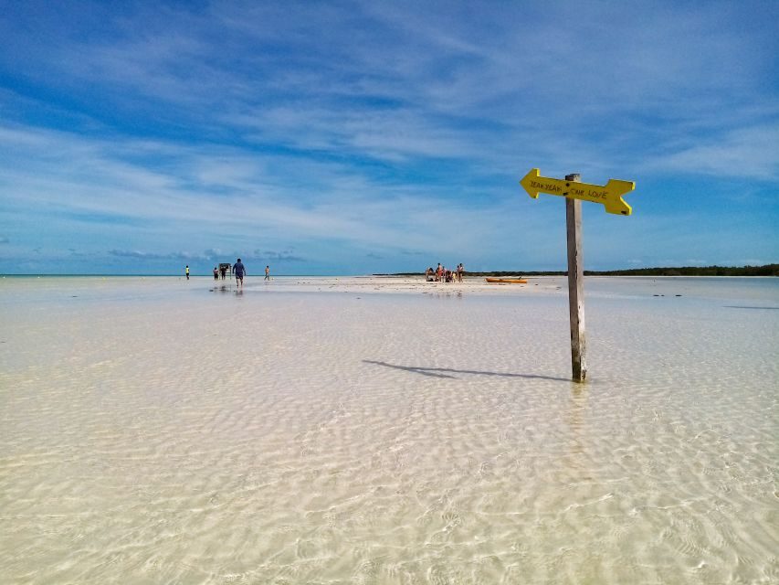 From Riviera Maya: Holbox Full-Day Tour with Lunch - Key highlights to know before you go