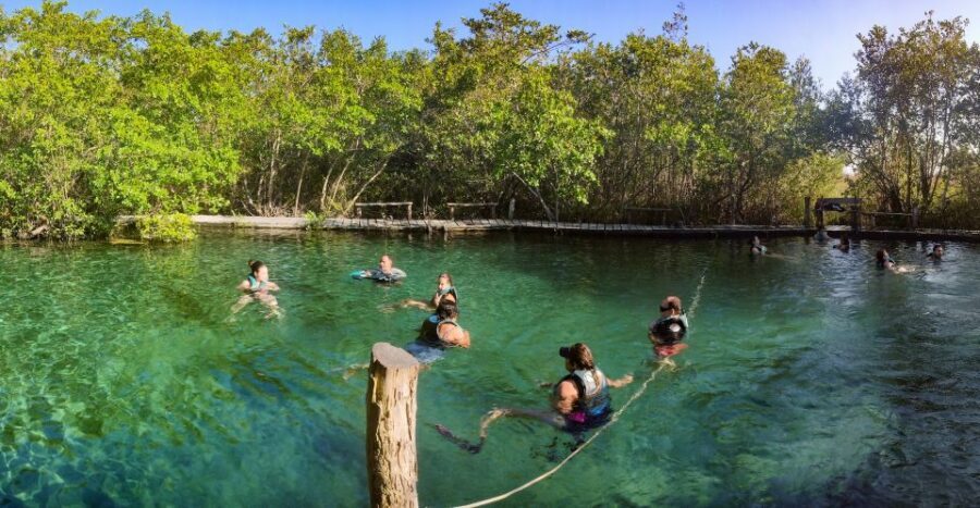 From Riviera Maya: Holbox Full-Day Tour with Lunch - Guide and boat team: why organization matters in this route