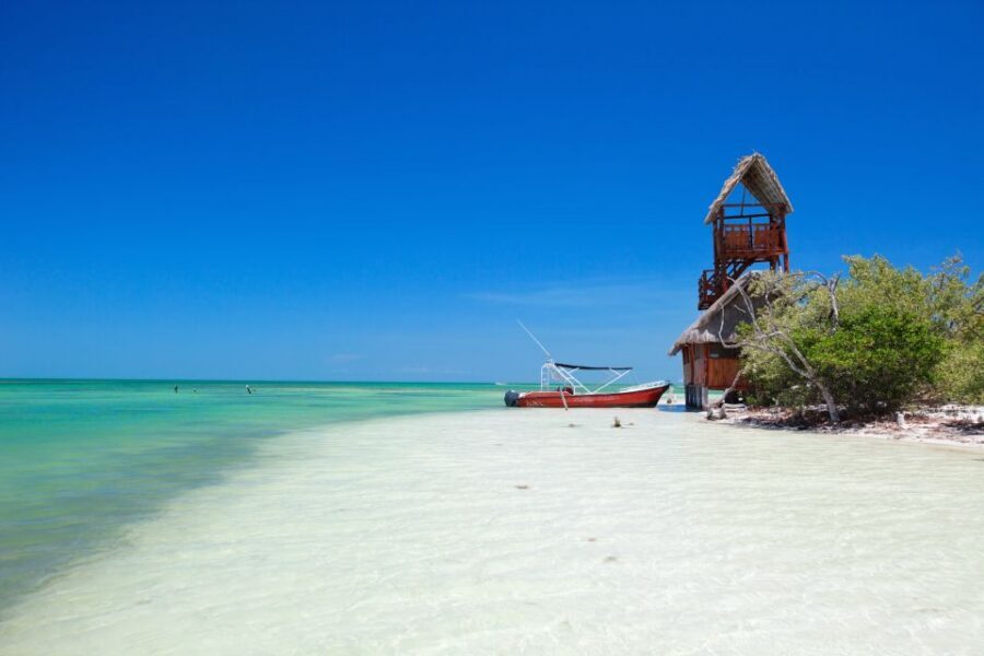 From Riviera Maya: Holbox Full-Day Tour with Lunch - What This Holbox Full-Day Trip Gets You in 12–13 Hours