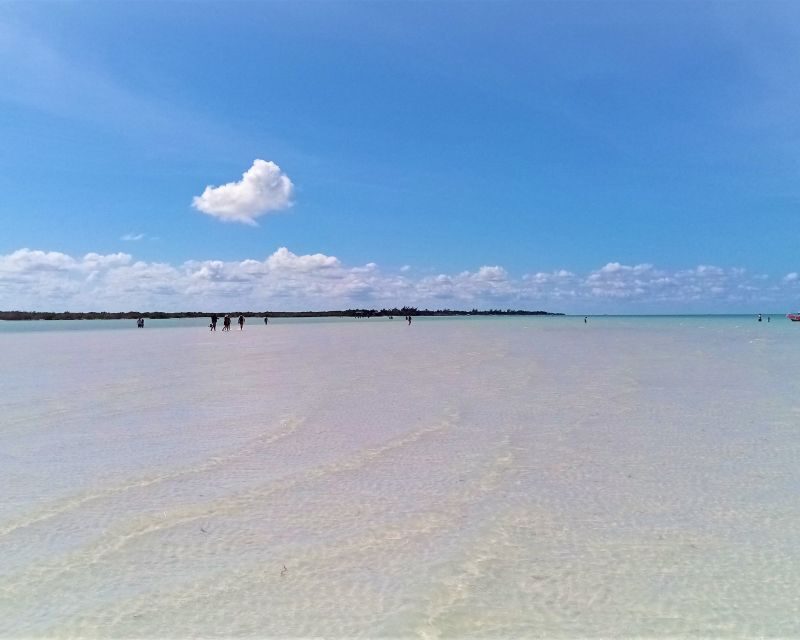 From Riviera Maya: Holbox Full-Day Tour with Lunch - Yalahau Cenote (Hoyo Negro Yalahau): freshwater swim with a nature-sense of place