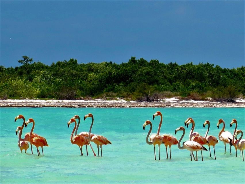From Riviera Maya: Holbox Full-Day Tour with Lunch - Isla Holbox: your 2-hour window for streets, squares, and slow wandering