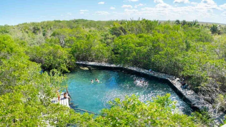 From Riviera Maya: Holbox Full-Day Tour with Lunch - Comfort rules: what to bring and who should skip this one