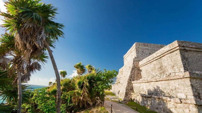 From Tulum: Tulum Ruins and 2 Cenotes Tour - Getting picked up at Starbucks Tulum DT and riding in comfort