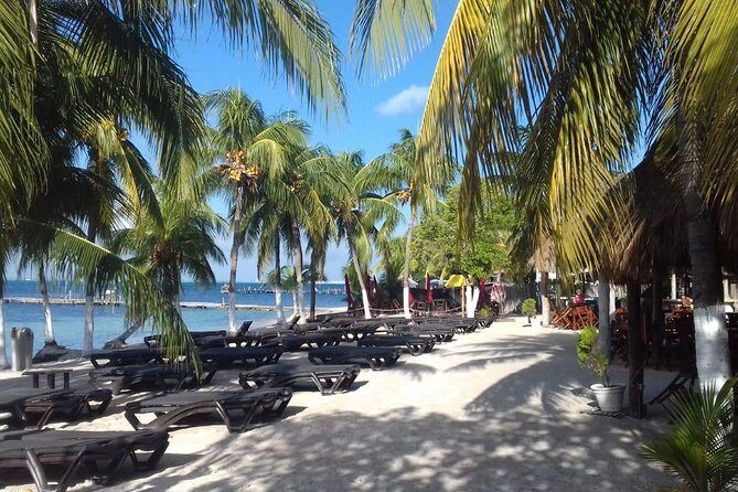 Full-Day Luxurious Catamaran Adventure - Cancún to Isla Mujeres - Playa Norte (North Beach) and the Beach Club Reality Check