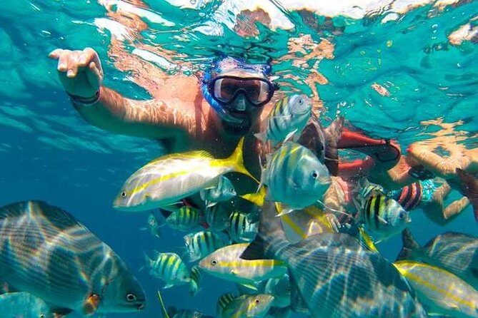 Full-Day Luxurious Catamaran Adventure - Cancún to Isla Mujeres - Lunch and Included Drinks: What “Included” Usually Means Here