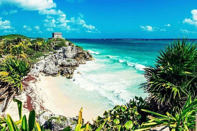 Full Day Tulum Ruins Tour Cenote and Swimming with Sea Turtles - Cenote Nohoch: jungle swim time without the hassle