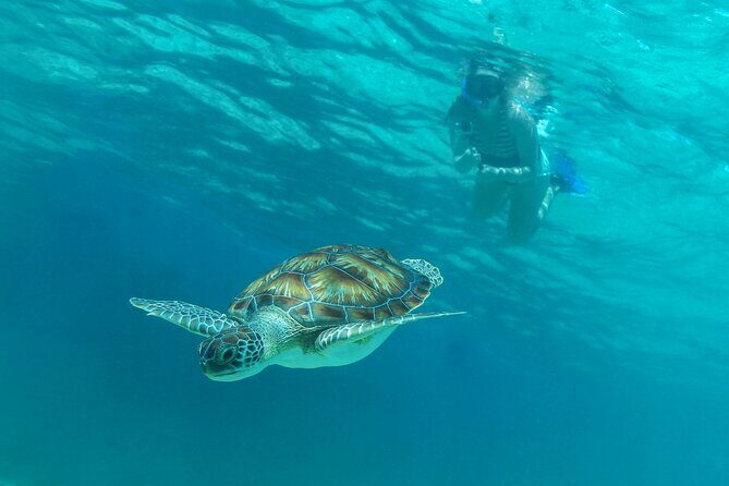 Half-Day Luxury Sailing Experience in Tulum with Open Bar - Boarding and Setup: The Crew Makes or Breaks the Experience
