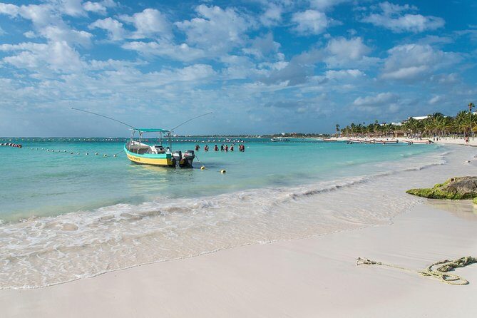 Half-Day Sea Turtle and Cenote Snorkeling Tour from Cancun & Riviera Maya - Akumal Beach snorkeling with sea turtles: what that early water time really gives you