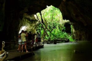Half-Day Sea Turtle and Cenote Snorkeling Tour from Cancun & Riviera Maya - What $99 really buys you (and what can cost extra)