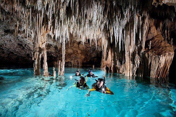 Half-Day Sea Turtle and Cenote Snorkeling Tour from Cancun & Riviera Maya - Guides and group size: where your day gets safer and better
