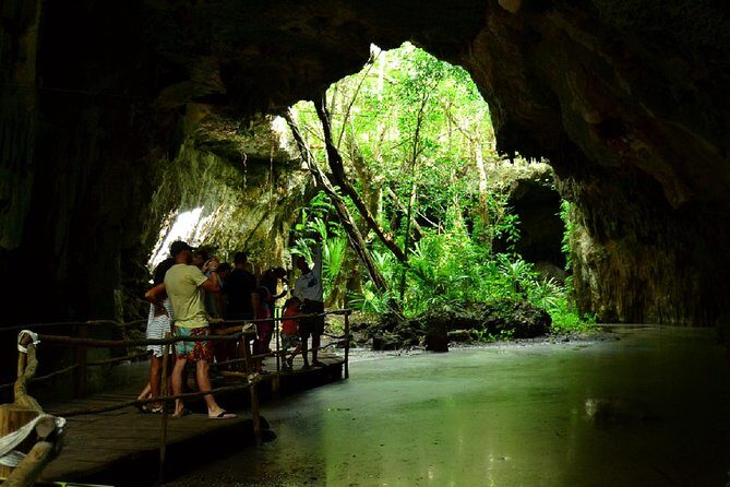 Half-Day Sea Turtle and Cenote Snorkeling Tour from Cancun & Riviera Maya - What $99 really buys you (and what can cost extra)
