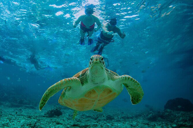 Hidden Cenote Swim: Snorkeling, Sea Turtles and Beachside Lunch - Entering the Tulum cenote: cold water, caves, and a very real swim