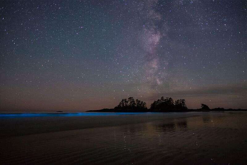 Holbox: Guided Bioluminescence Kayaking Tour - Stargazing Over the Ocean: Constellations and the Night-Sky Shift
