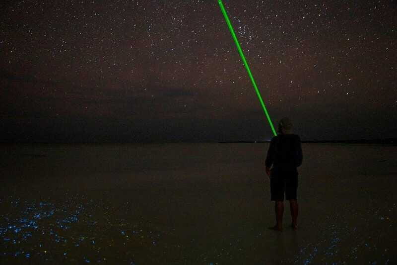 Holbox: Guided Bioluminescence Kayaking Tour - Pacing at Night: Easy Paddle, Fast Guide, Dark Direction