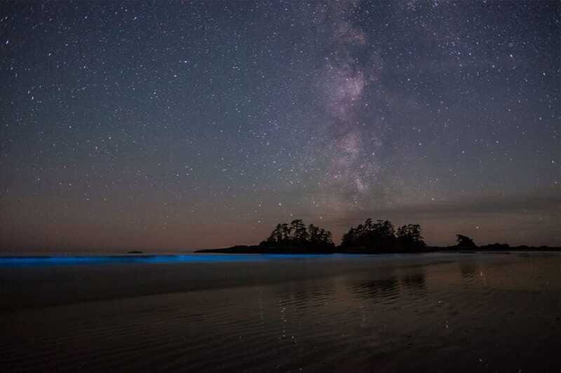 Holbox: Guided Bioluminescence Kayaking Tour - When Bioluminescence Shows Up Best: Seasonal Reality Check