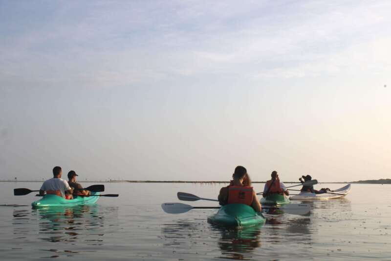 Holbox: Guided Sunrise/Sunset Kayak Tour by Mangrove Reserve - Key things I’d circle on your plan