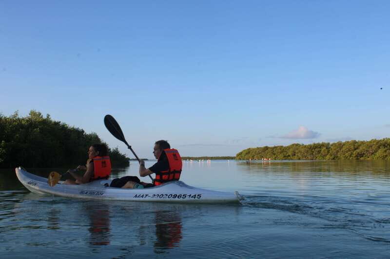 Holbox: Guided Sunrise/Sunset Kayak Tour by Mangrove Reserve - Why Holbox mangroves feel different at first light
