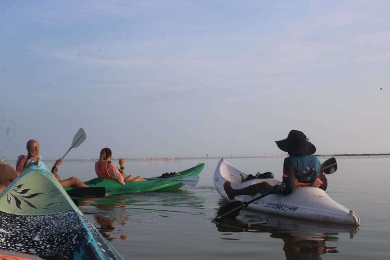 Holbox: Guided Sunrise/Sunset Kayak Tour by Mangrove Reserve - Equipment and safety: what the tour gives you (and what to do with it)