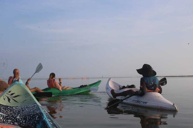 Holbox: Guided Sunrise/Sunset Kayak Tour by Mangrove Reserve - Paddling the mangrove channels: how the tour time really feels