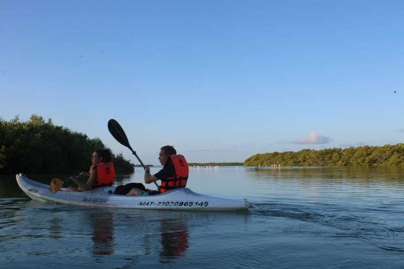 Holbox: Guided Sunrise/Sunset Kayak Tour by Mangrove Reserve - Wildlife spotting that’s actually respectful (motor-free matters)
