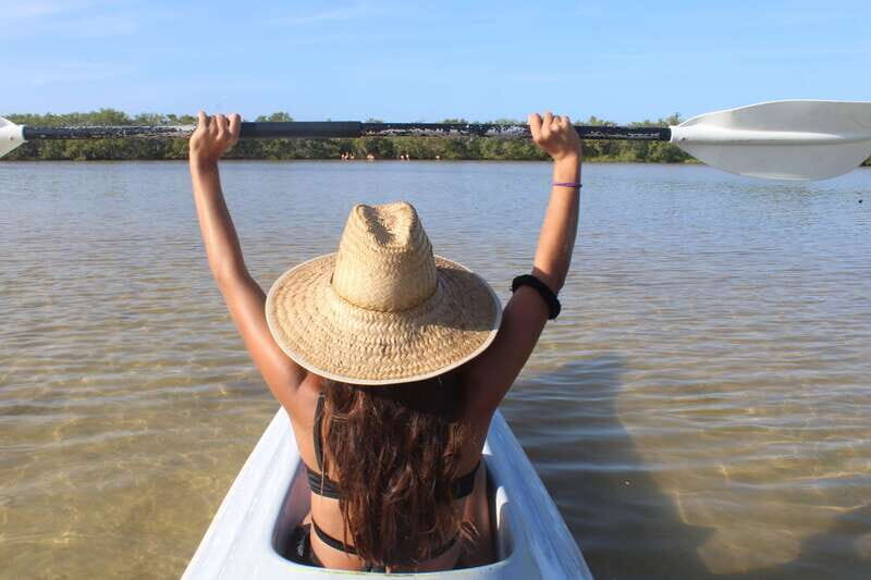 Holbox: Guided Sunrise/Sunset Kayak Tour by Mangrove Reserve - Bird watching at sunrise: what you should expect to see