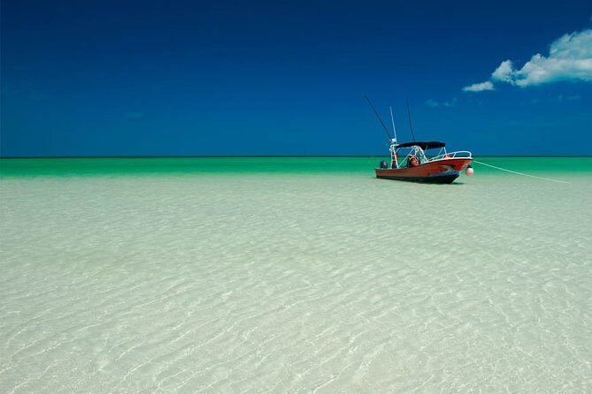Holbox Island Full Day Trip with Lunch From Playa del Carmen - A Beach Stop That Might Mean Mosquitoes or Sargassum