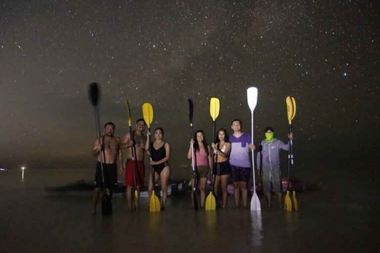 Holbox: Stars and Bioluminescent Marine Life Kayaking Tour - Kayaking at night: why this Holbox plan feels different