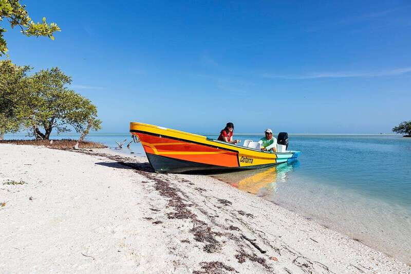Holbox: Yum Balam Reserve Classic Boat Tour - How the tour flows across Holbox: knowing what each block of time means