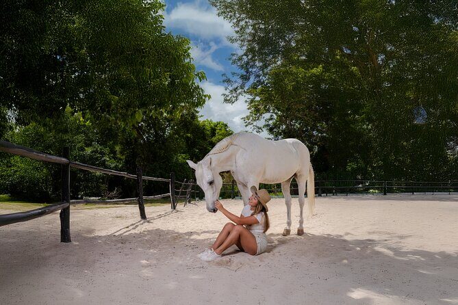Horseback Riding and Cenote Swim from Cancun or Playa del Carmen - Getting There From Cancun or Playa del Carmen (Pickup That Matters)