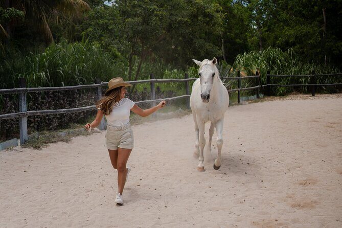 Horseback Riding and Cenote Swim from Cancun or Playa del Carmen - Horse Matching and Riding Support for Beginners