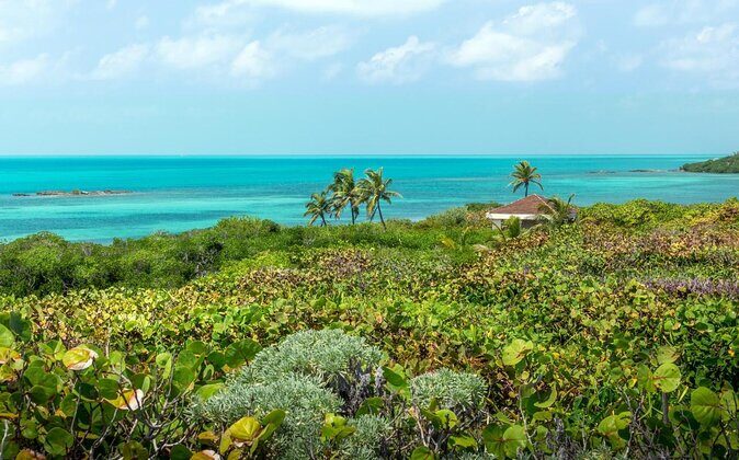 Isla Contoy Eco Adventure - Why Isla Contoy feels different from most Cancun day trips