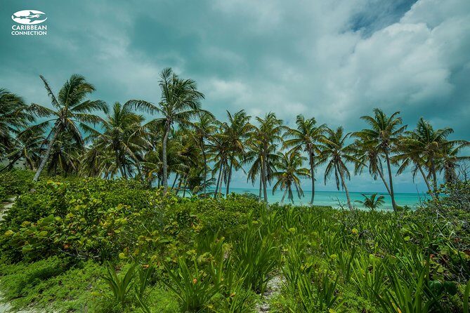 Isla Contoy Eco Adventure - Isla Contoy on foot: limited access that still feels special