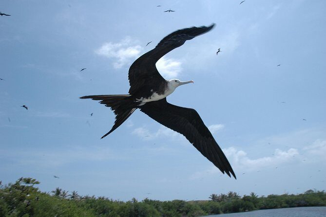 Isla Contoy Eco Adventure - The boat ride: fun crew, but bring earplugs