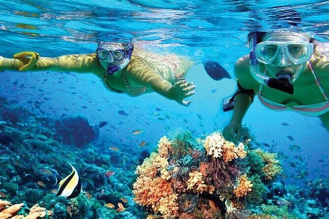 Isla Mujeres Catamaran, Open Bar & Optional Buffet and pick up - Exploring Isla Mujeres: shopping, beaches, and the golf cart itch