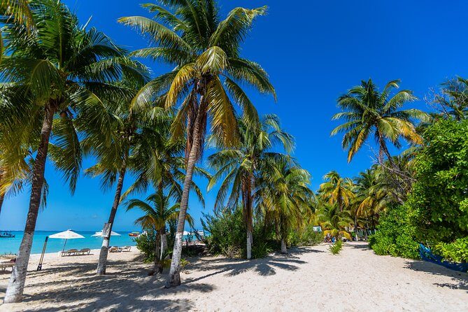 Isla Mujeres Catamaran, Open Bar & Optional Buffet and pick up - Price and value: what $39 really buys (and what adds up)