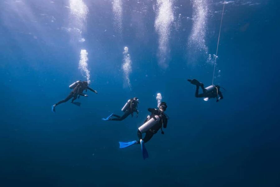 Isla Mujeres: Catamaran Ride with Open Bar, Snorkeling, and Lunch - Why a Catamaran Day Trip From Cancun Feels Like a Mini Vacation