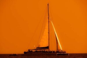 Isla Mujeres: Catamaran Ride with Open Bar, Snorkeling, and Lunch - Price and Value: What the $56 Price Really Means