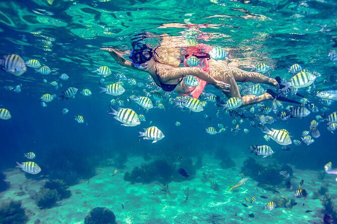 Isla Mujeres Catamaran Tour with Open Bar, Lunch and Snorkeling - Beach club time and the buffet lunch: relaxation with mixed reviews